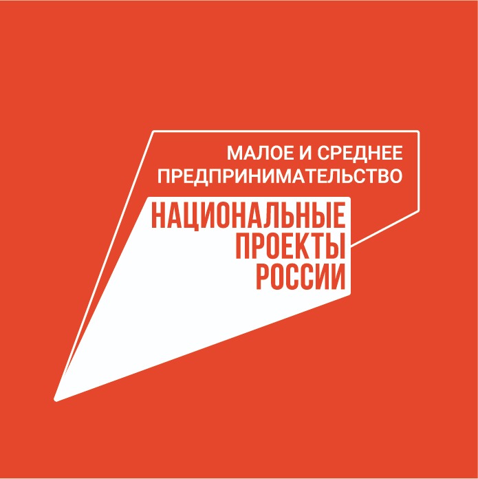 338 млрд рублей бизнесу под зонтичные поручительства — 2024